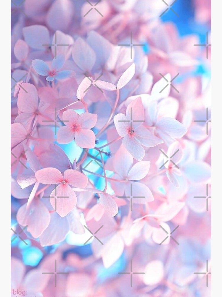Sakura Tree Sakura Tree Drawing Sakura Tree Wallpaper Sakura Tree Aesthetic Sakura Tree Tattoo Sakura Tree Anime Sakura Tree Art Art Board Print By Migii Redbubble