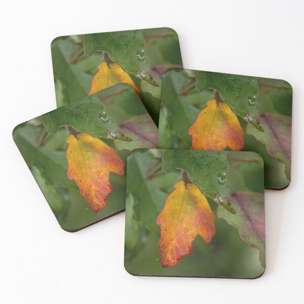 Item preview, First Signs of Fall designed and sold by TinyCameraNinja.