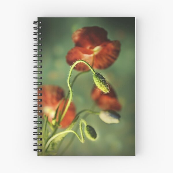 Aperçu de l'œuvre Red Poppies Impression créée et vendue par JBlaminsky.