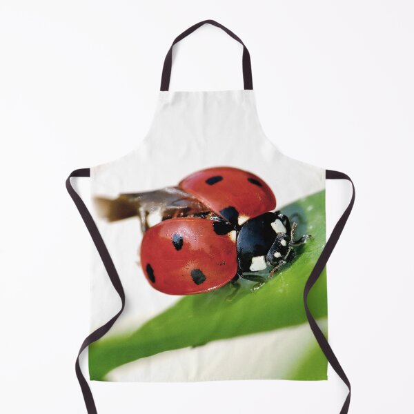 Item preview, THE STAR : 2 (h) coccinelle-ladybug by Olao-Olavia / Okaio Créations 2015  by fz 1000 and 450.000 photos designed and sold by o.okaïo.