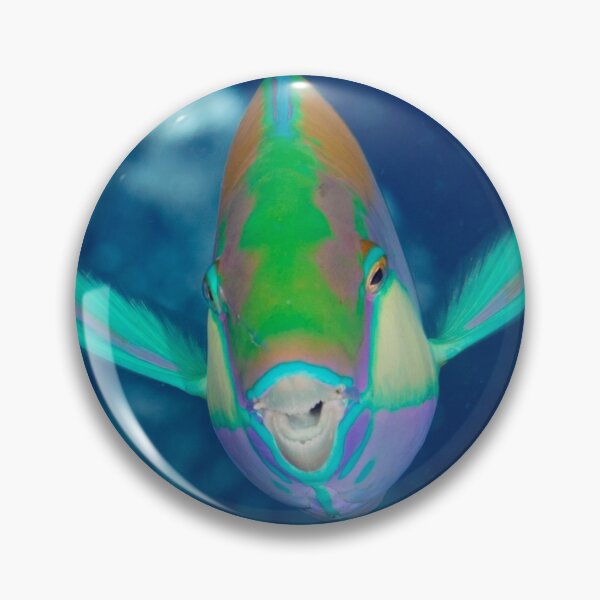 Item preview, Smiling Parrotfish designed and sold by Mark Rosenstein.