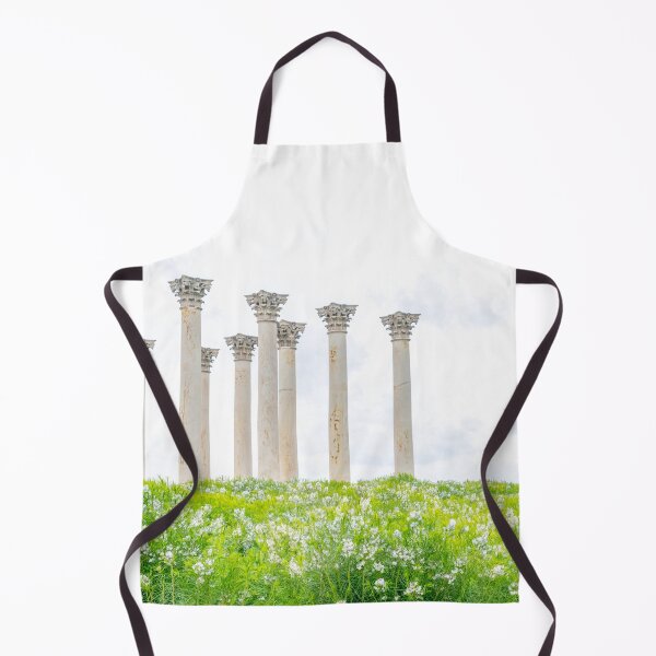 Item preview, Capitol Columns designed and sold by Alex Tonetti Photography.