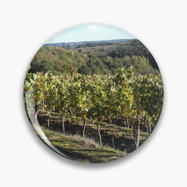 Artikelvorschau, Weinberg im Südwesten Frankreichs entworfen und verkauft von wineandwords.