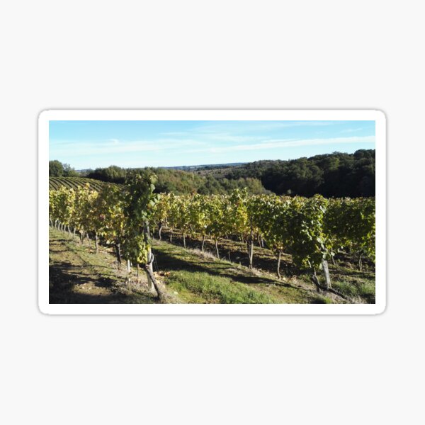 Item preview, Vineyard in the southwest of France designed and sold by wineandwords.