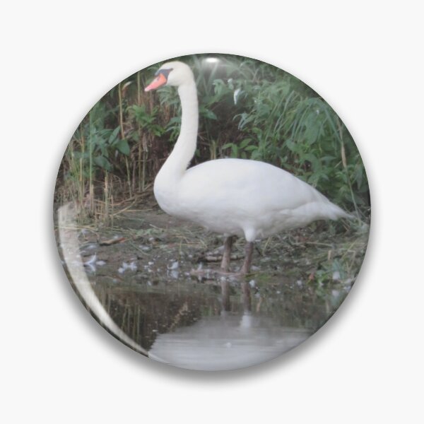 Item preview, The mirrored swan designed and sold by CamphuijsenArt.