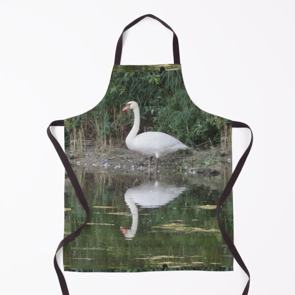 Aperçu de l'œuvre Le cygne en miroir créée et vendue par CamphuijsenArt.