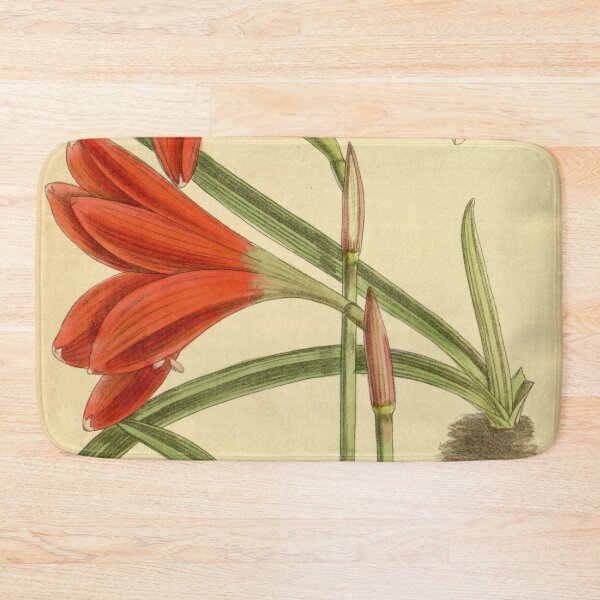Item preview, Zephyranthes cardinalis 140.8553 designed and sold by EsotericBotanic.