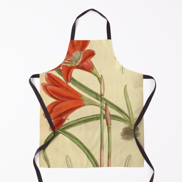 Item preview, Zephyranthes cardinalis 140.8553 designed and sold by EsotericBotanic.