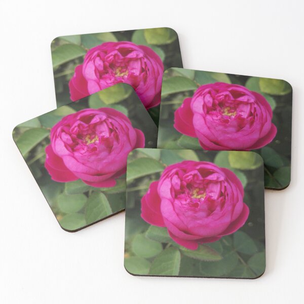 Item preview, Rose garden treasures designed and sold by wineandwords.