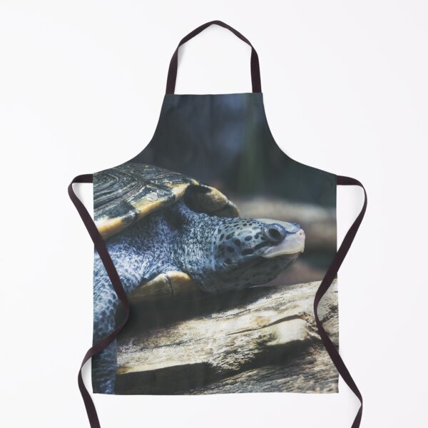 Item preview, Testudo the Turtle designed and sold by Alex Tonetti Photography.