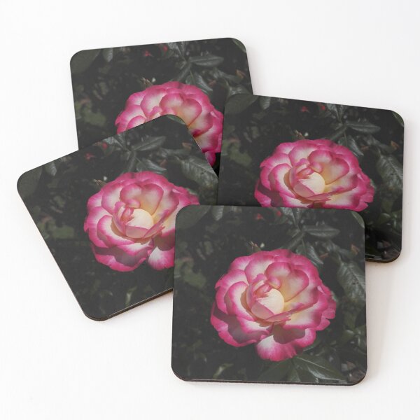 Item preview, Pink and gold rose on black designed and sold by wineandwords.