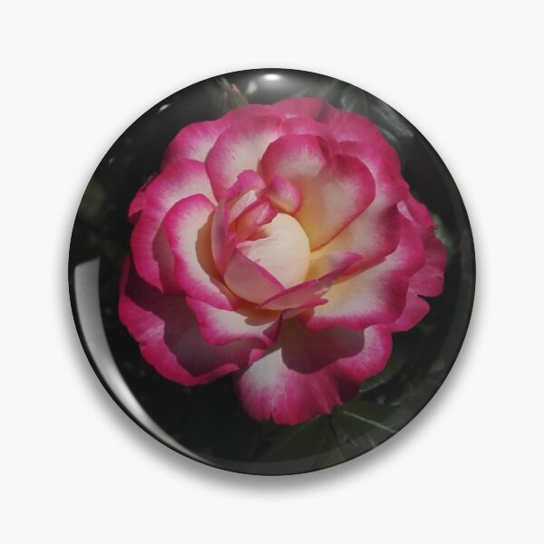 Item preview, Pink and gold rose on black designed and sold by wineandwords.