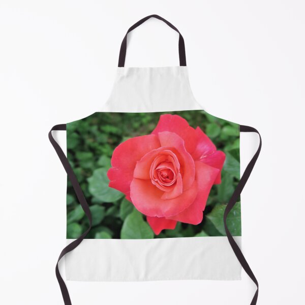 Item preview, Gorgeous Pink Rose designed and sold by newburyboutique.