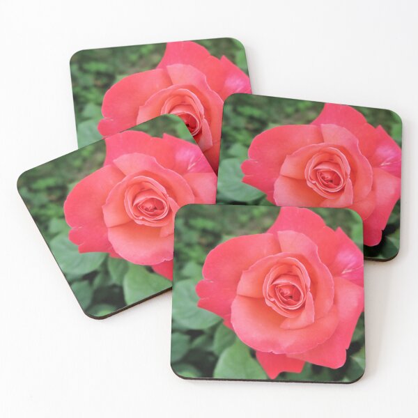 Item preview, Gorgeous Pink Rose designed and sold by newburyboutique.