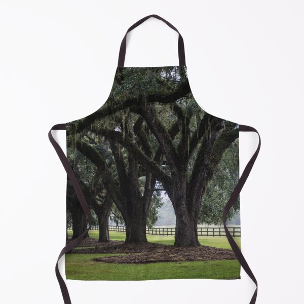 Item preview, Tree Arch Drive designed and sold by Alex Tonetti Photography.