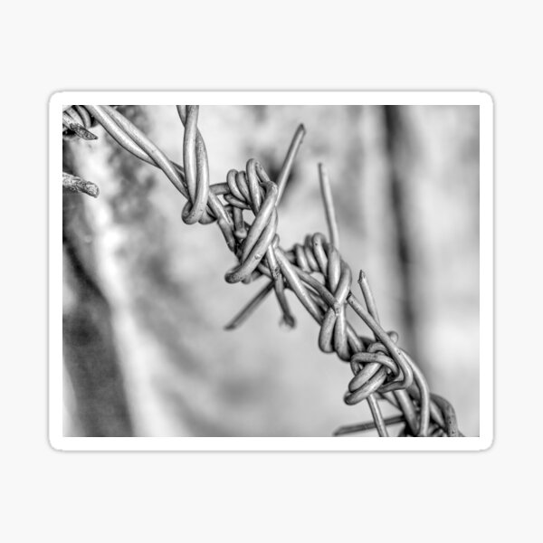 Item preview, Barbed wire on a fence  designed and sold by David  Taylor.