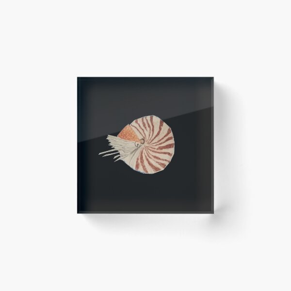 Item preview, nautilus (negro) designed and sold by MsTyson.