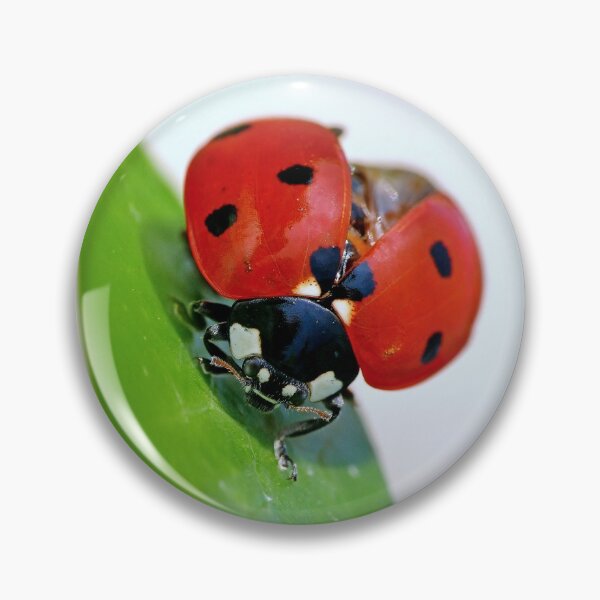 Item preview, THE STAR : 1 (h) coccinelle-ladybug by Olao-Olavia / Okaio Créations 2015  by fz 1000 450.000  designed and sold by o.okaïo.