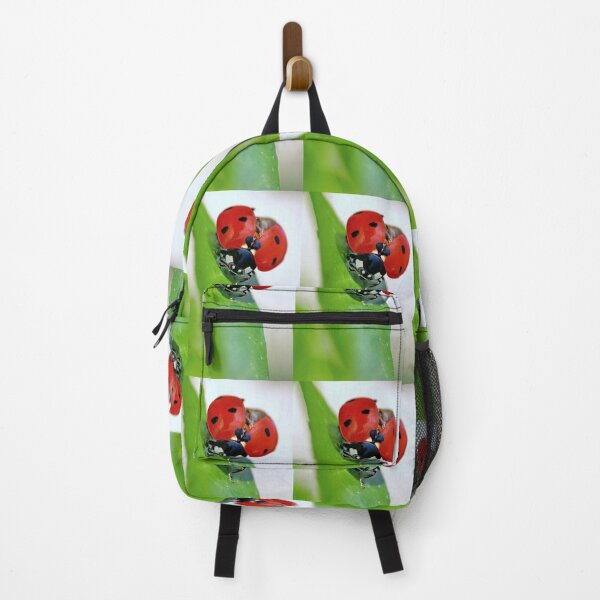 Item preview, THE STAR : 1 (h) coccinelle-ladybug by Olao-Olavia / Okaio Créations 2015  by fz 1000 450.000  designed and sold by o.okaïo.
