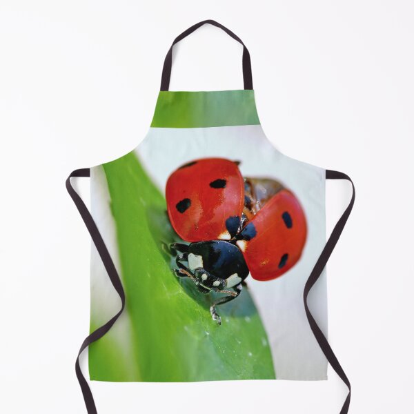 Item preview, THE STAR : 1 (h) coccinelle-ladybug by Olao-Olavia / Okaio Créations 2015  by fz 1000 450.000  designed and sold by o.okaïo.