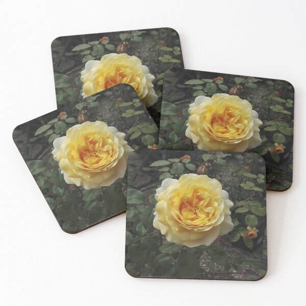 Item preview, Golden rose in a rose garden designed and sold by wineandwords.