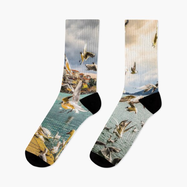 Item preview, fwc 1063 animals avian beach designed and sold by fred chiea.