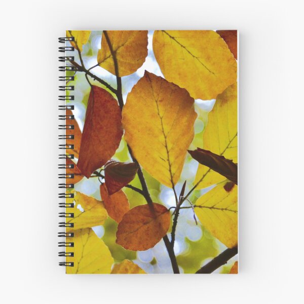 Aperçu de l'œuvre Leaves créée et vendue par Elfchen.