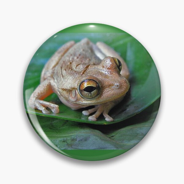 Item preview, Tree frog designed and sold by Joe Saladino.