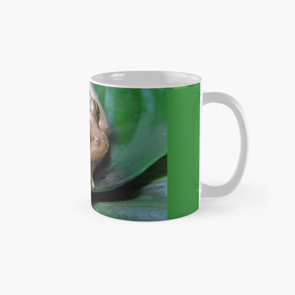 Item preview, Tree frog designed and sold by Joe Saladino.