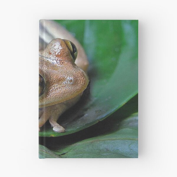 Item preview, Tree frog designed and sold by Joe Saladino.