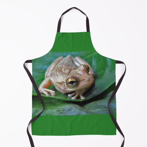 Item preview, Tree frog designed and sold by Joe Saladino.