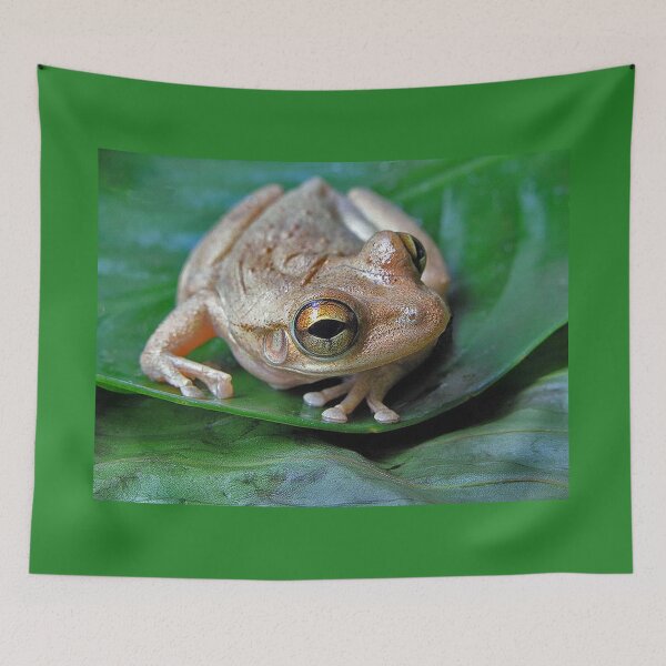 Item preview, Tree frog designed and sold by Joe Saladino.