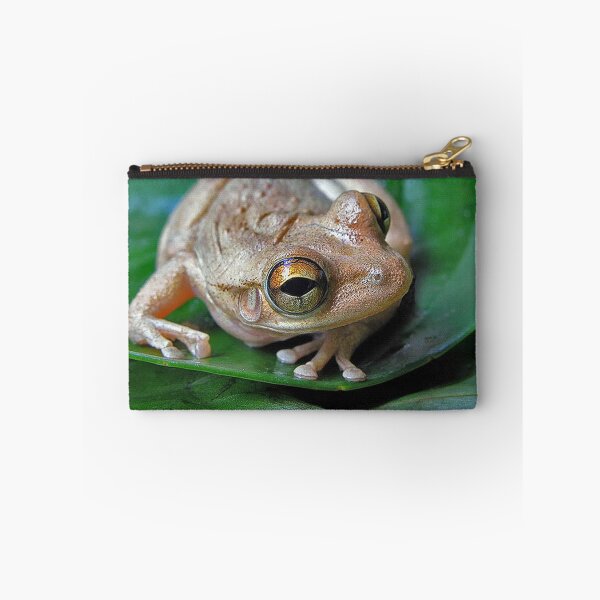 Item preview, Tree frog designed and sold by Joe Saladino.