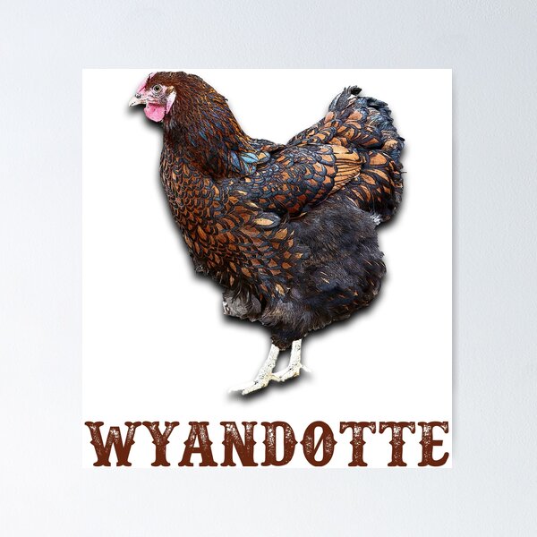 Item preview, Wyandotte Chicken designed and sold by Jared Davies.