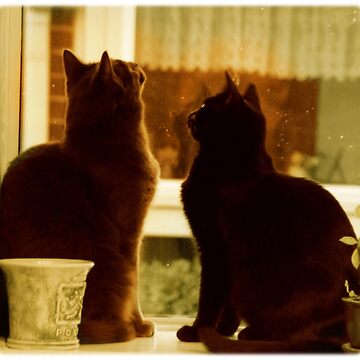 Artwork thumbnail, Window Cats by FlutterKatArts