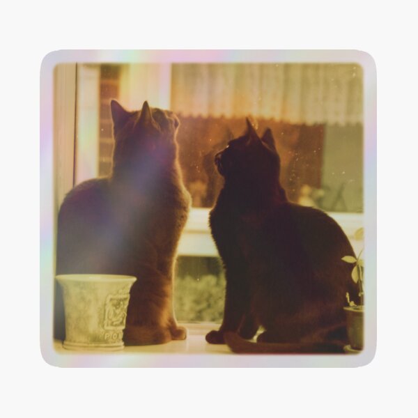 Item preview, Gatos de ventana designed and sold by FlutterKatArts.