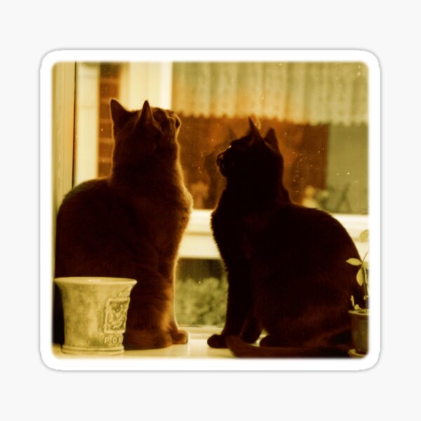 Item preview, Window Cats designed and sold by FlutterKatArts.