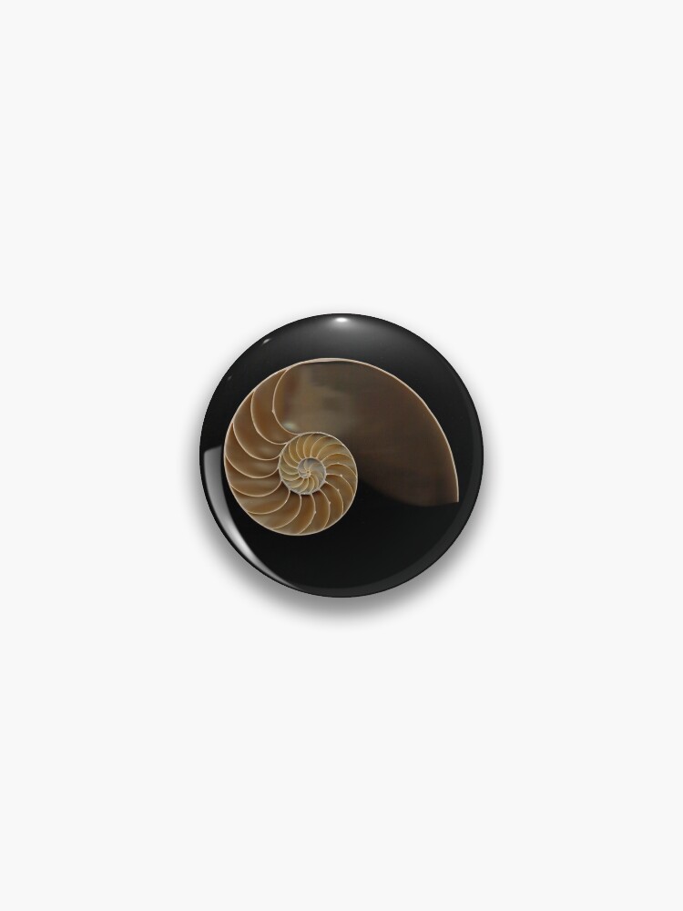 Chambered nautilus shell bisected&quot; Pin for Sale by Joe Saladino 
