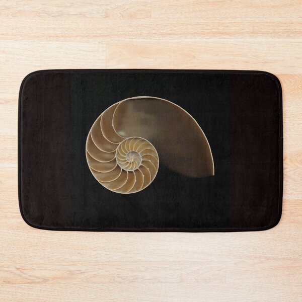 Item preview, Chambered nautilus shell bisected designed and sold by Joe Saladino.