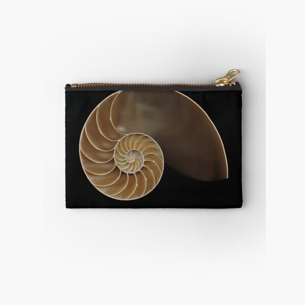 Item preview, Chambered nautilus shell bisected designed and sold by Joe Saladino.