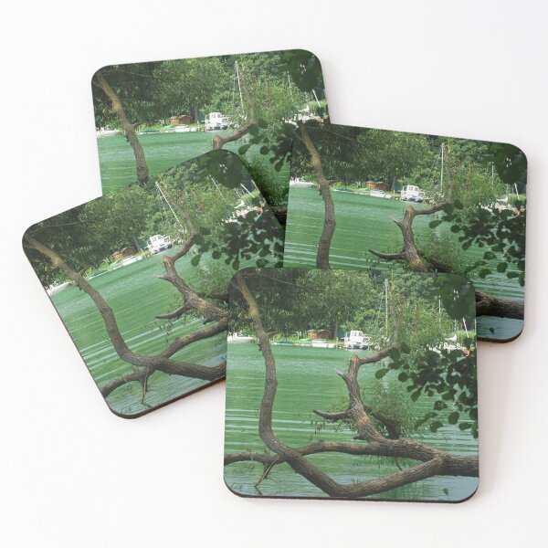 Item preview, Tree in the water designed and sold by tada-leipzig.