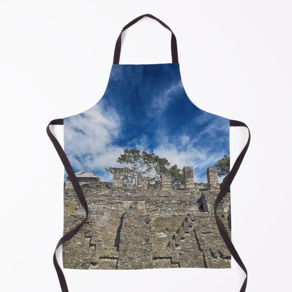 Item preview, MS Ruinas Arqueológicas Toniná Chiapas Mexico 05.© designed and sold by OmarHernandez.