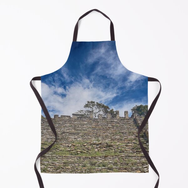 Item preview, MS Ruinas Arqueológicas Toniná Chiapas Mexico 03.© designed and sold by OmarHernandez.