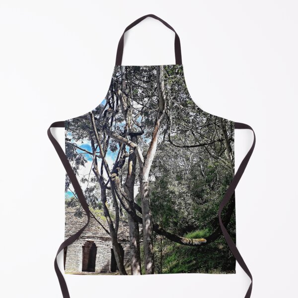 Item preview, MS Ruinas Arqueológicas Toniná Chiapas Mexico 02.© designed and sold by OmarHernandez.