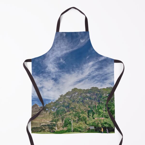 Item preview, MS Ruinas Arqueológicas Toniná Chiapas Mexico 01.© designed and sold by OmarHernandez.