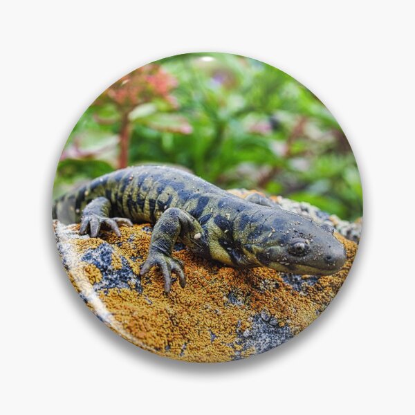 Item preview, Tiger Salamander designed and sold by colorfulbundles.