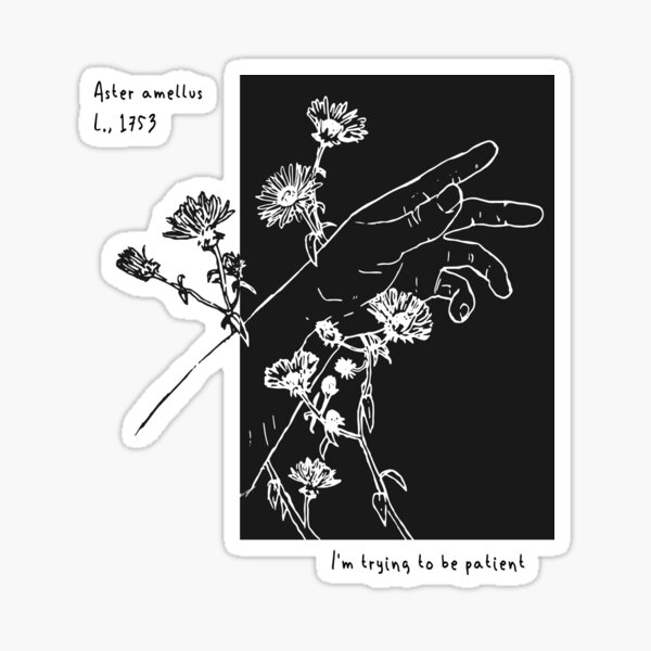 Aster Amellus Sticker