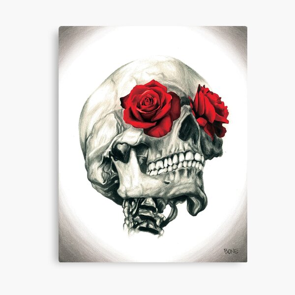 Rose Eye Skull Canvas Print