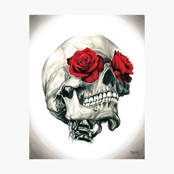 Rose Eye Skull Photographic Print