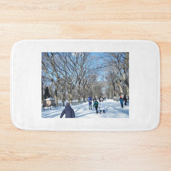 Item preview, Central Park in Snow, December designed and sold by lenspiro.